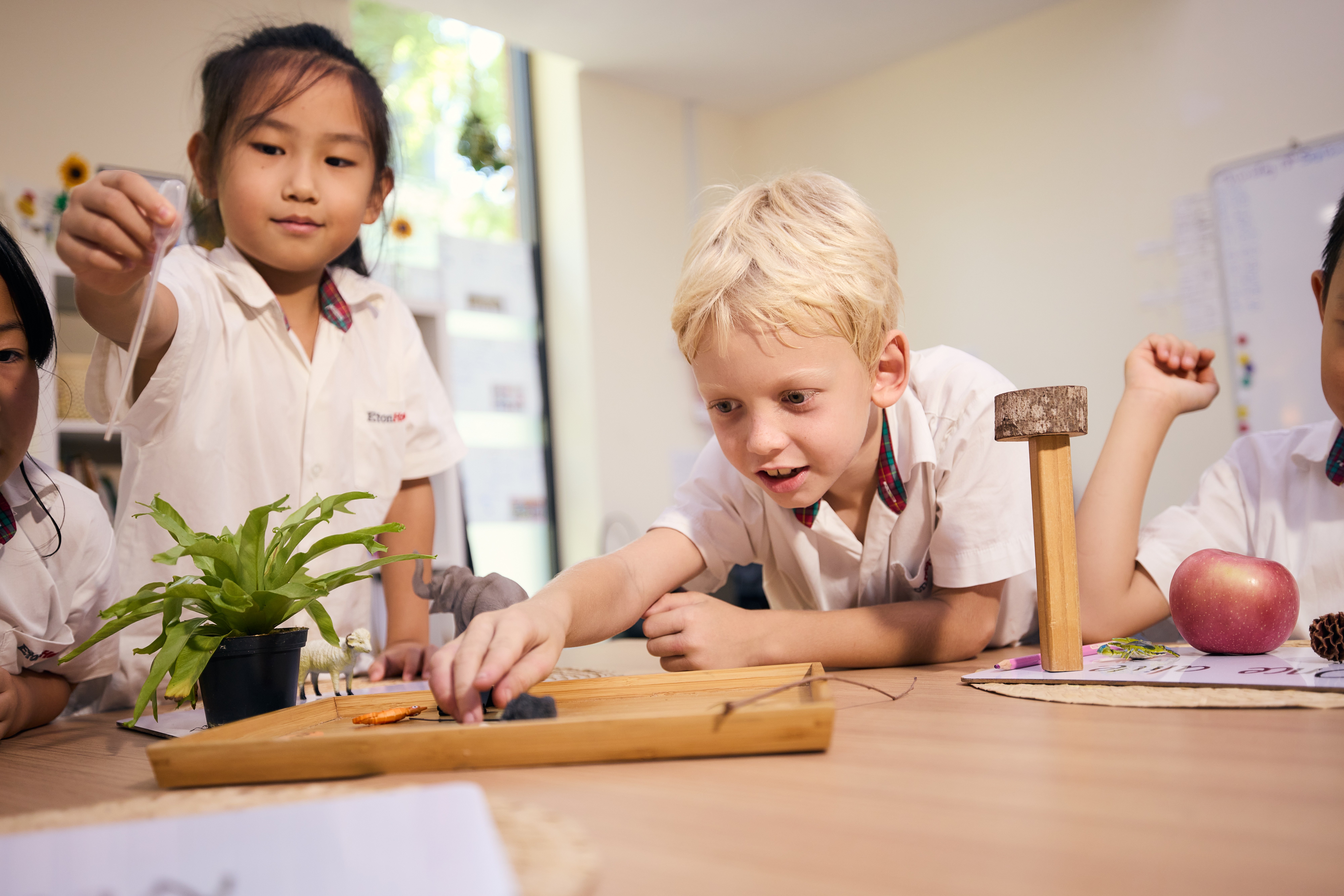 How to Raise A Curious Child?