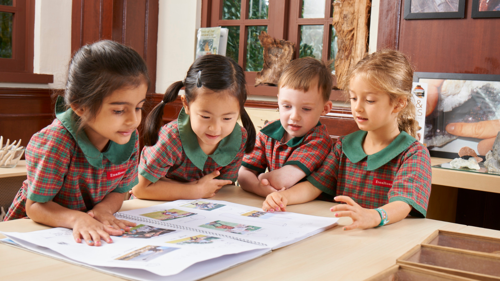 How Can You Support Your Preschooler In Developing Literacy Skills?